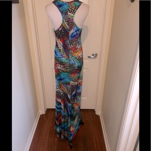 Gorgeous colorful animal print “Cameo” maxi dress - Picture 6 of 14